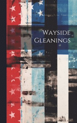 bokomslag Wayside Gleanings