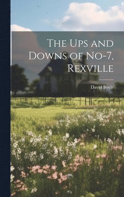 David Boyle - Ups and Downs of No-7, Rexville, Inbunden