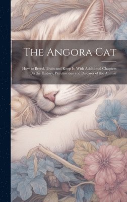 bokomslag Angora Cat