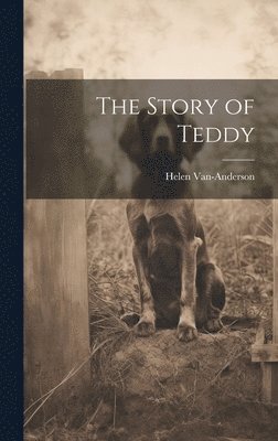 bokomslag The Story of Teddy