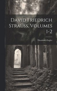 bokomslag David Friedrich Strauss, Volumes 1-2