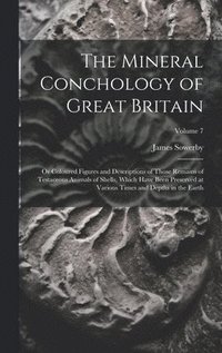 bokomslag The Mineral Conchology of Great Britain