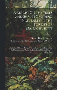 bokomslag A Report On the Trees and Shrubs Growing Naturally in the Forests of Massachusetts