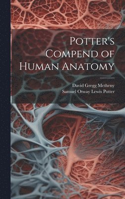 bokomslag Potter's Compend of Human Anatomy