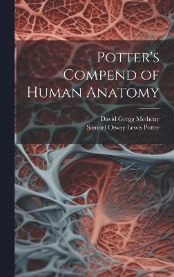 Samuel Otway Lewis Potter, David Gregg Metheny - Potter's Compend of Human Anatomy, Inbunden