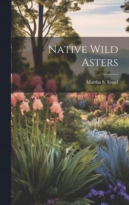 Native Wild Asters 1