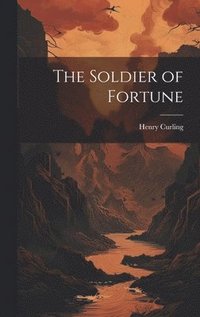 bokomslag The Soldier of Fortune