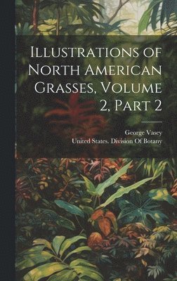 Illustrations of North American Grasses, Volume 2, part 2