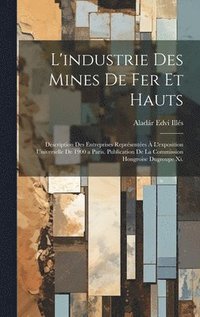 bokomslag L'industrie Des Mines De Fer Et Hauts