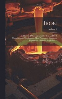 bokomslag Iron