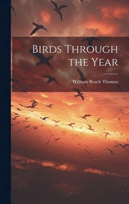 Birds Through the Year 1