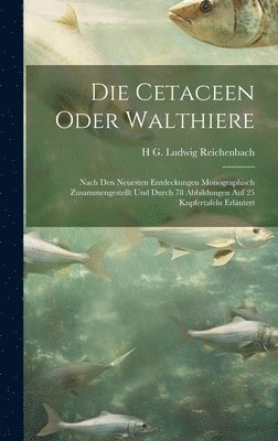 bokomslag Die Cetaceen oder Walthiere