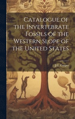 bokomslag Catalogue of the Invertebrate Fossils of the Western Slope of the United States