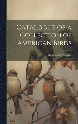 bokomslag Catalogue of a Collection of American Birds