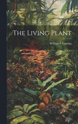 Living Plant 1