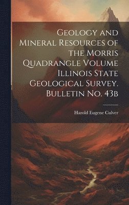 bokomslag Geology and Mineral Resources of the Morris Quadrangle Volume Illinois State Geological Survey. Bulletin no. 43b