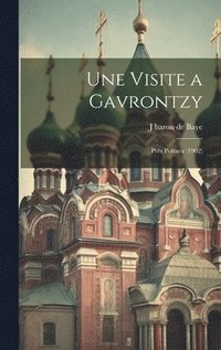 bokomslag Une Visite a Gavrontzy
