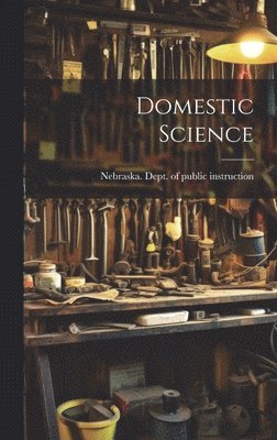 bokomslag Domestic Science