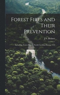 bokomslag Forest Fires and Their Prevention