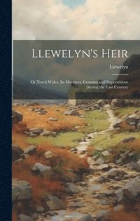 bokomslag Llewelyn's Heir