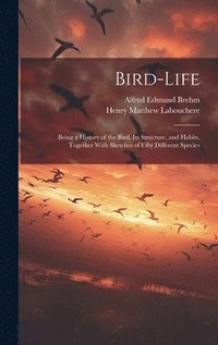 bokomslag Bird-Life