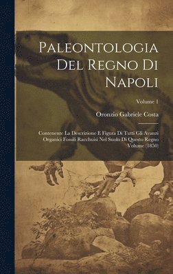 bokomslag Paleontologia del regno di Napoli