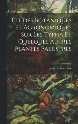 bokomslag tudes botaniques et agronomiques sur les Typha et quelques autres plantes palustres