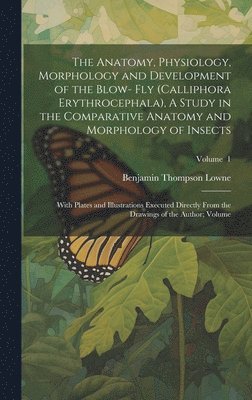 bokomslag The Anatomy, Physiology, Morphology and Development of the Blow- fly (Calliphora Erythrocephala), A Study in the Comparative Anatomy and Morphology of Insects; With Plates and Illustrations Executed