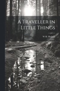 bokomslag A Traveller in Little Things