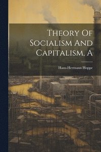 bokomslag A Theory Of Socialism And Capitalism