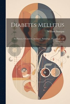 bokomslag Diabetes Mellitus