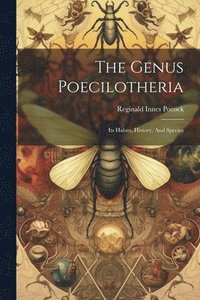 bokomslag Genus Poecilotheria