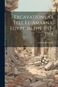 bokomslag Excavations at Tell El-Amarna, Egypt, in the 1913-1914