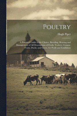 Hugh Piper - Poultry; a Practical Guide to the Choice, Breeding, Rearing and Management of all Descriptions of Fowls, Turkeys, Guinea-fowls, Ducks, and Geese, for Profit and Exhibition, Häftad