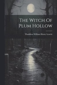 bokomslag Witch Of Plum Hollow