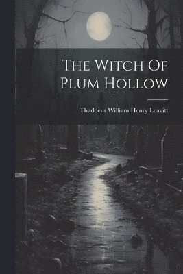 bokomslag Witch Of Plum Hollow