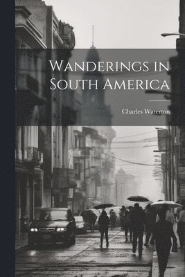 Wanderings in South America 1