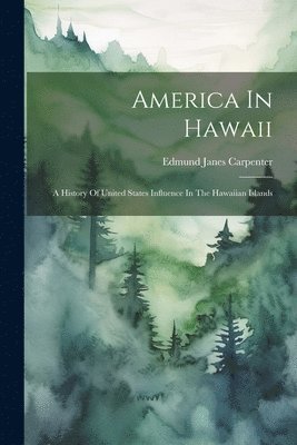 bokomslag America In Hawaii