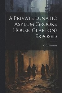 bokomslag A Private Lunatic Asylum (brooke House, Clapton) Exposed