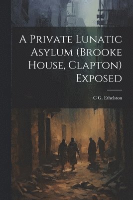 A Private Lunatic Asylum (brooke House, Clapton) Exposed 1