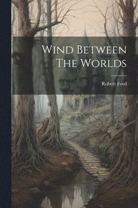 bokomslag Wind Between The Worlds