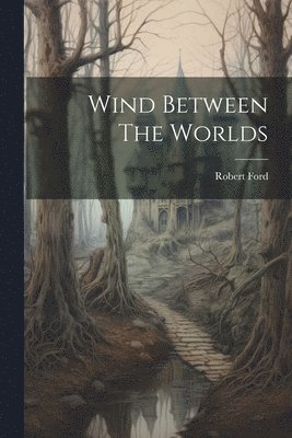 bokomslag Wind Between the Worlds