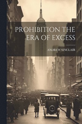 bokomslag Prohibition the Era of Excess
