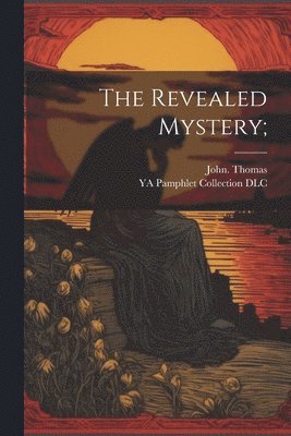 bokomslag Revealed Mystery;