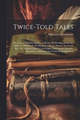 bokomslag Twice-Told Tales