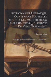 bokomslag Dictionnaire Hbraique, Contenant Toutes Les Origines Des Mots Hbreux Tant Primitifs Que Drivez Du Vieux Testament