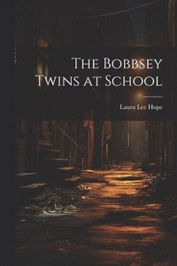 bokomslag Bobbsey Twins at School