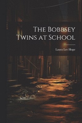 bokomslag Bobbsey Twins at School