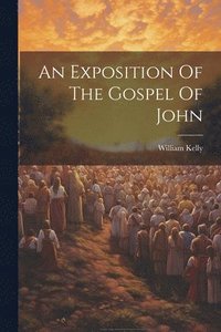 bokomslag An Exposition Of The Gospel Of John