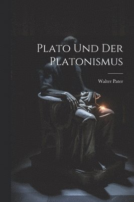 bokomslag Plato Und Der Platonismus